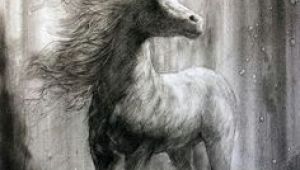 Drawing Of A Girl Horse 461 Best Horse Drawings Images Drawings Of Horses Horse Drawings