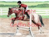 Drawing Of A Girl Riding A Horse Draw A Horse Show Jumper In Colored Pencil
