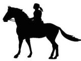 Drawing Of A Girl Riding A Horse Horse Decals Horse Stickers Graphics for Horse Trai Stuff to