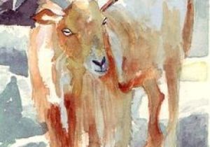 Drawing Of A Goat S Eye 131 Best Goats and Sheep Images Animal Pictures Animal Drawings
