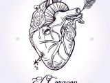 Drawing Of A Heart with An Arrow Sketched Hand Drawn Line Art Beautiful Human Heart with Arrow El