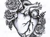 Drawing Of A Heart with Roses 1596 Best Anatomical Heart Images Anatomical Heart Human Heart