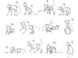 Drawing Of A Kitty Cat 92 Best Drawing Cats Images Dog Cat Cute Kittens Cat Illustrations