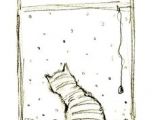Drawing Of A Kitty Cat Matteo Pericoli Artsy Cats Pinterest Artworks Nyc and Cats