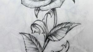 Drawing Of A Long Stem Rose Stemmed Rose Drawing Google Search Roland Tattoos Tattoo
