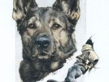 Drawing Of A Police Dog 54 Best Colored Pencil Drawings by Lauren Heimbaugh Beware Of Trees