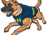 Drawing Of A Police Dog 776 Best K 9 Images Funny Animals Fluffy Animals Cutest Animals