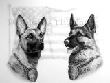 Drawing Of A Police Dog German Shepherd Police Dog Pet Portraits Art Art Pet Portraits