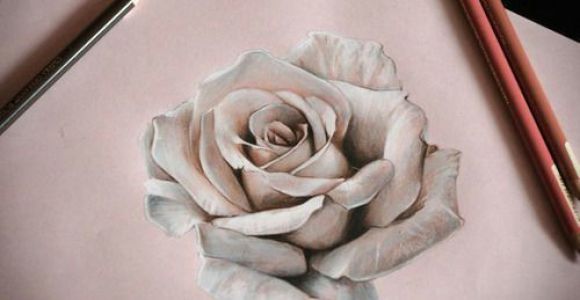 Drawing Of A Real Rose How to Draw A Realistic Rose In Pencil Drawings Drawings Art
