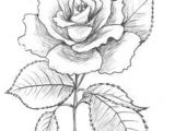 Drawing Of A Rose and Heart 132 Best Drawing Images Rose Drawing Tattoo Tattoo Drawings