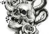 Drawing Of A Rose and Skull 74 Best Skulls N Roses Images Skull Tattoos Drawings Mexican Skulls