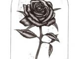 Drawing Of A Rose Beauty and the Beast Beauty and the Beast Drawings Beauty and the Beast Rose by