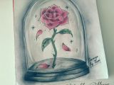 Drawing Of A Rose Beauty and the Beast the Enchanted Rose Beauty and the Beast Drawing Sketching Draw