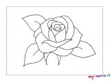 Drawing Of A Rose Easy Drawing Rose Elita Mydearest Co