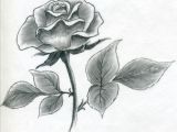Drawing Of A Rose Easy Image Result for L How to Draw A Simple Rose Buku Sketsa
