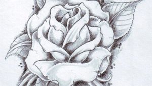 Drawing Of A Rose Leaf Black Rose Arm Tattoos for Women Rose and Its Leaves Drawing