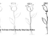 Drawing Of A Rose Simple Draw A Paper Rose at Troller Us