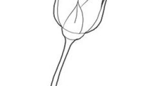 Drawing Of A Rose Stem 8 Best Learning How to Draw Images Drawings Learn to Draw Color