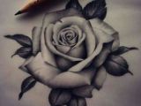 Drawing Of A Rose Tattoo Pin by Cynthia Shea On Flowers Pinterest Rose Tattoos Tattoos