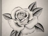 Drawing Of A Rose Tattoo Pin by Sydney Mayes On Tattoo Tattoos Rose Tattoos Tattoo Drawings