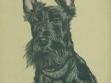 Drawing Of A Scottie Dog Gladys Emmerson Cook Scottish Terriers A Pinterest Scottish