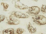 Drawing Of A Sleeping Cat Leonardo Da Vinci Cats Drawings and 6 Quotes