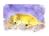 Drawing Of A Sleeping Dog Cartoon Sleeping Dog Image Group 71