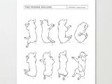 Drawing Of A Sleeping Dog French Bulldog Sleep Study Art Print Illustrations Of A Dog S
