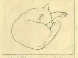 Drawing Of A Sleeping Dog John Flexmore Sleeping Cat Ca 1940 Cat Allergies Cats Cat
