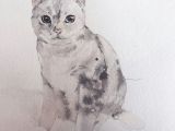 Drawing Of A Small Cat Pin by Caroline Wong On Watercolor Drawings Watercolor Cat Art