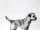 Drawing Of A Small Dog Border Terrier Dog Sketch Ink On Paper Everything Dogs Border