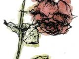 Drawing Of A Wilting Rose 11 Best A Wilted Rose Images Wilted Rose Roses Bleeding Rose