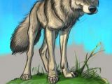 Drawing Of A Wolf Dog 947 Best Wolf Images In 2019 Character Design Drawings Fantasy