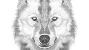 Drawing Of A Wolf Head Easy 109 Best Wolf Images Wolf Drawings Art Drawings Draw Animals