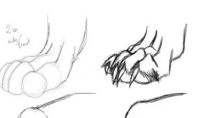 Drawing Of A Wolf Paw How to Draw Wolf Paws Drawing Tutorials Drawi