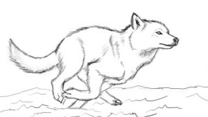Drawing Of A Wolf Running when You Run Make Sure You Run to something and Not Away From
