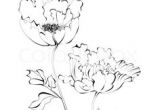 Drawing Of All Flowers 173 Best Drawings Flowers More Images Flower Designs Coloring