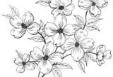 Drawing Of All Flowers 215 Best Flower Sketch Images Images Flower Designs Drawing S