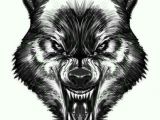 Drawing Of An Angry Wolf Pin by Clips Scott On My Next Tatt Wolf Tattoos Tattoos Wolf