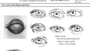 Drawing Of An Eye Labeled 448 Best Draw Human Eyes Images How to Draw Drawing Tutorials