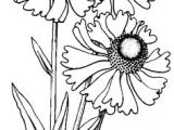Drawing Of Big Flowers 18721 Best Line Drawings Images In 2019 Coloring Pages Big Eyes