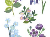 Drawing Of Clover Flower Garden Flowers Clover Robin Personal Art Inspiration In 2019