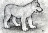 Drawing Of Cute Wolf Pup Amy Collacchi Amycollacchi On Pinterest