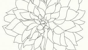 Drawing Of Dahlia Flowers Dahlia Art Pinterest Art Prints Art and Fine Art Prints