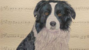 Drawing Of Dancing Dog Izzy Border Collie Via Etsy Border Collies Collie Border