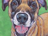 Drawing Of Dog Ears Belgian Malnois Mixed Breed Dog Custom Pet Portrait Painting In
