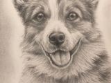 Drawing Of Dog Ears Custom Pet Portrait In Graphite Etsy