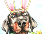 Drawing Of Dog Ears Illustrationen Und Portraits Von Hunden Dobermans Fun Dog and