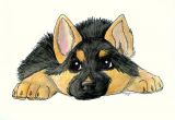 Drawing Of Dog German Shepherd Easy German Shepherd Drawing Puppy Google Search German Shepherd