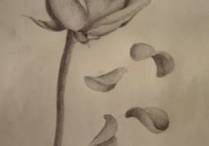 Drawing Of Dying Rose 45 Best Rose Petals Tattoo Images Pink Petals Rose Flowers Rose